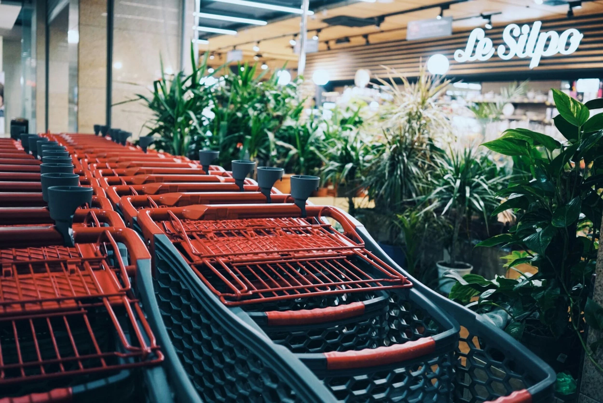 Consumer Sentiment Plunges Amid Inflation Fears and Tariff Uncertainty